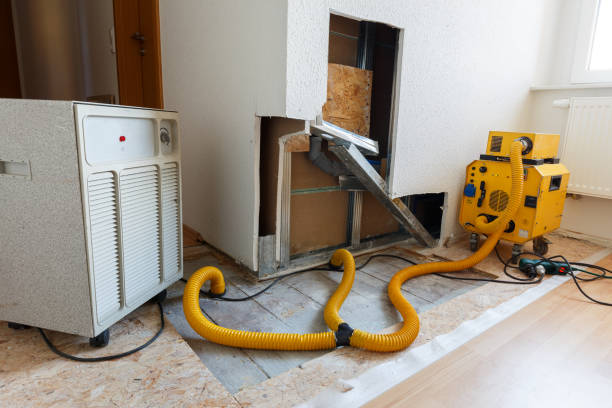 Best Mold Removal for HVAC Installations  in Prairie Du Sac, WI